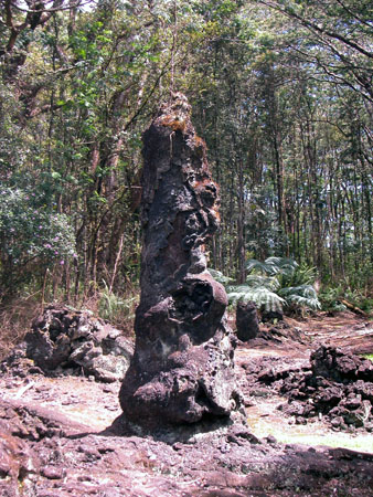 Lava Tree 1