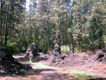 Lava Tree 2